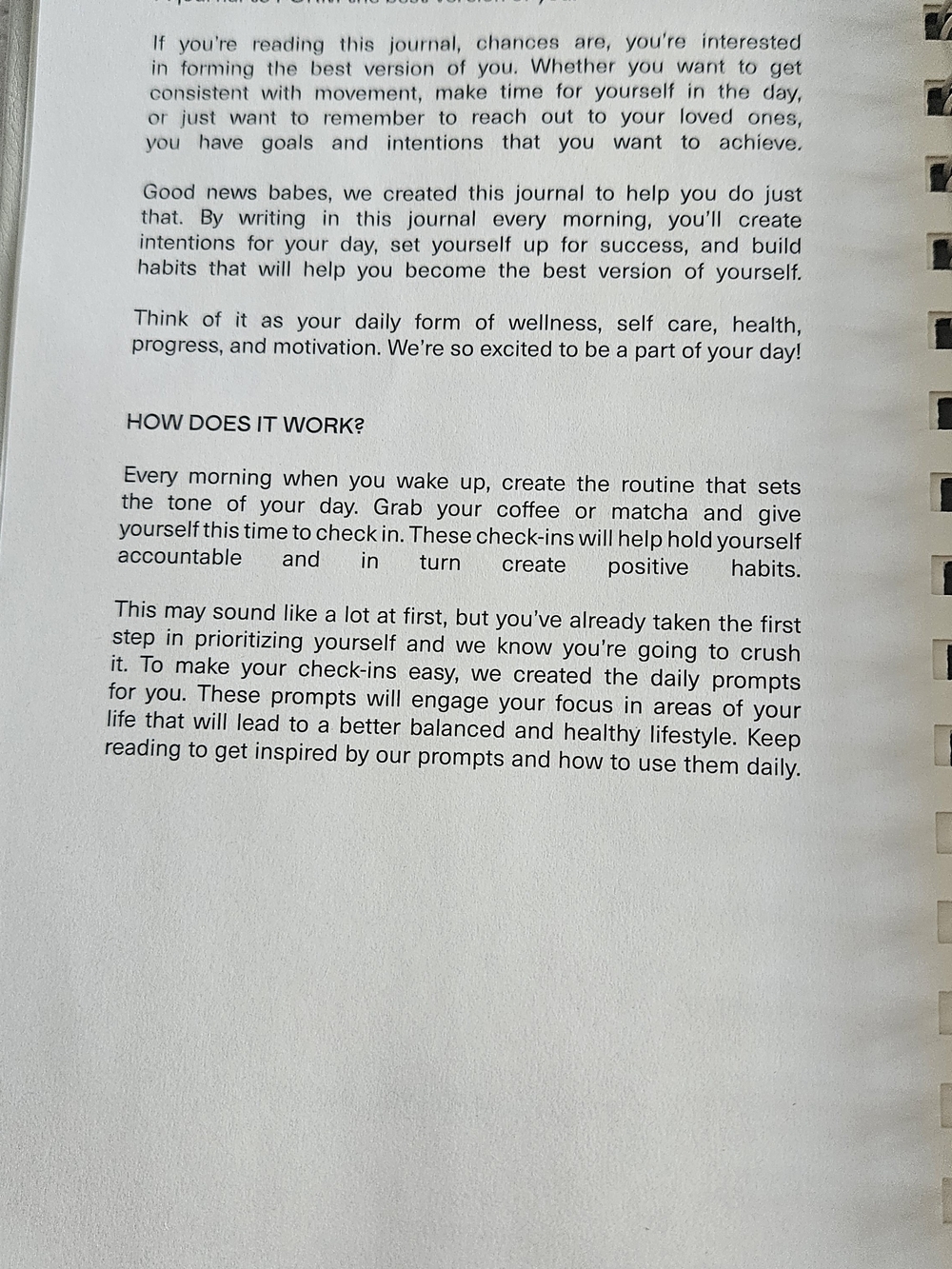 My Daily Check-In Planner — Cream. - Picture 6 of 8